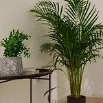 Apartman Halo - Victoria Boulevard I Carpark Nearby I Balcony