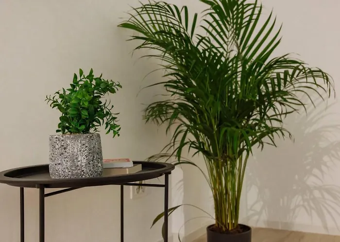 Apartament Halo - Victoria Boulevard